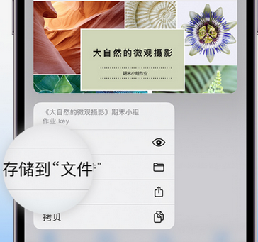 郫县apple维修中心分享iPhone文件应用中存储和找到下载文件