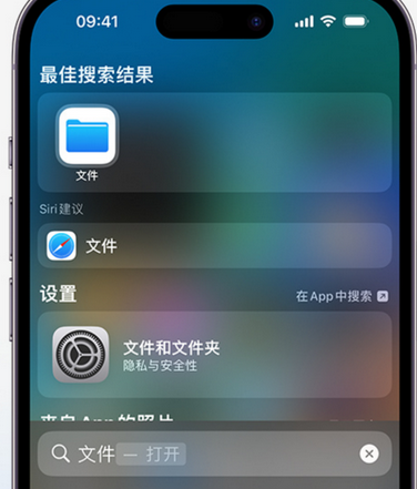 郫县apple维修中心分享iPhone文件应用中存储和找到下载文件