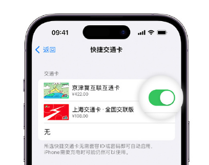 郫县apple维修点分享iPhone上更换Apple Pay快捷交通卡手绘卡面 