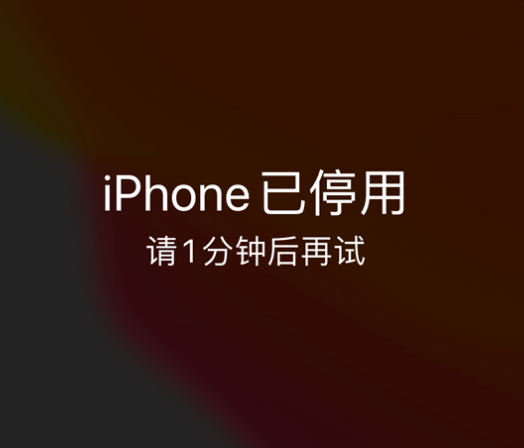 郫县苹果手机维修分享:iPhone 显示“不可用”或“已停用”怎么办？还能保留数据吗？ 