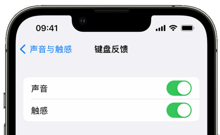 郫县苹果手机维修分享iPhone 14触感键盘使用方法 