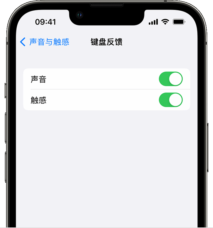 郫县苹果14维修店分享如何在 iPhone 14 机型中使用触感键盘 