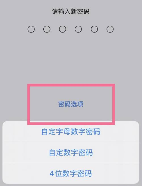 郫县苹果14维修分享iPhone 14plus设置密码的方法 