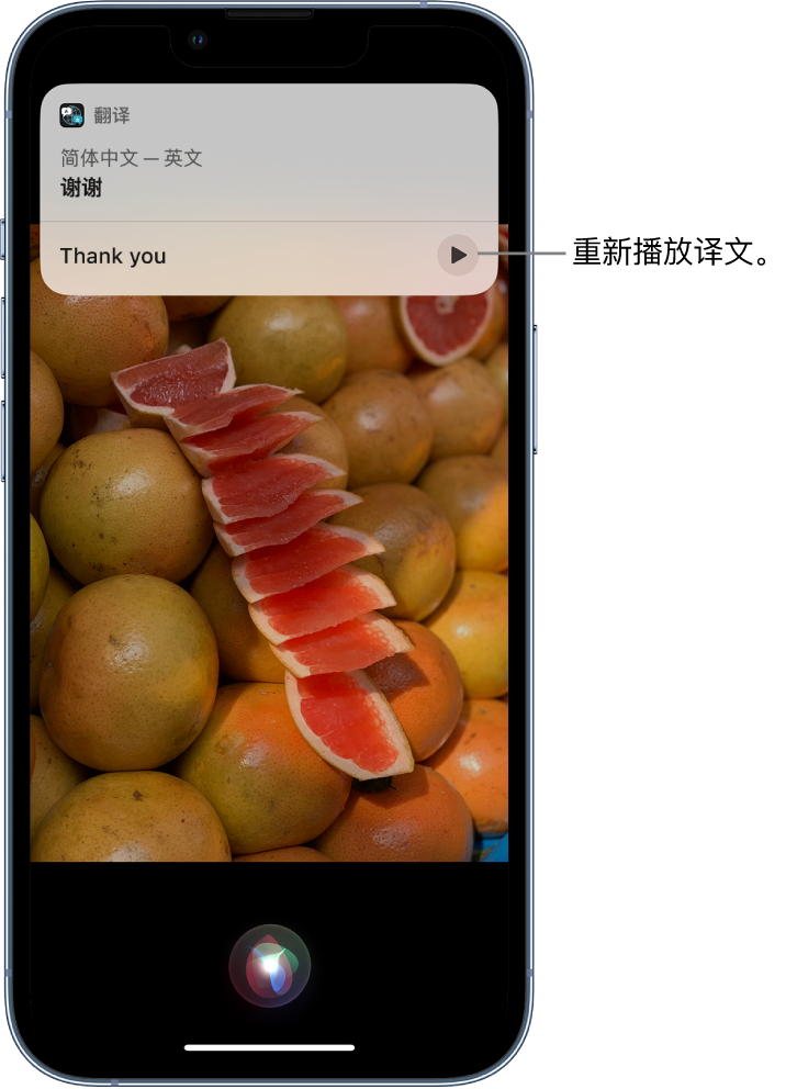 郫县苹果14维修分享 iPhone 14 机型中使用 Siri：了解 Siri 能帮你做什么 