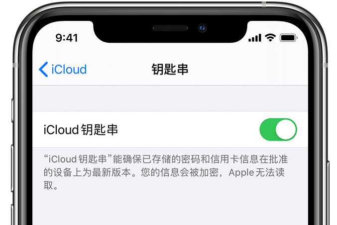 郫县苹果手机维修分享在 iPhone 上开启 iCloud 钥匙串之后会储存哪些信息 