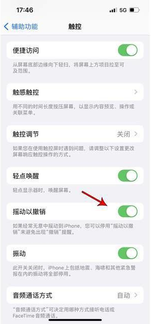 郫县苹果手机维修分享iPhone手机如何设置摇一摇删除文字 